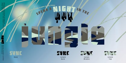 Sync Font Poster 8