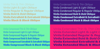 Vinila Font Poster 4