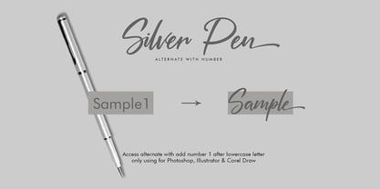 Silver Pen Fuente Póster 2