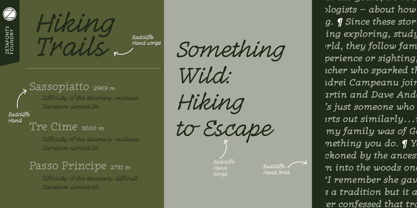 Radcliffe Hand Font Poster 5