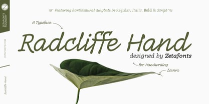 Radcliffe Hand Font Poster 1