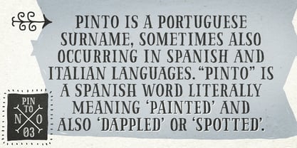 Pinto Font Poster 15
