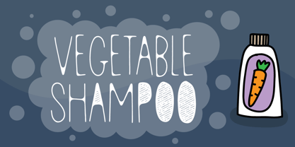 Vegetable Shampoo Font Poster 8