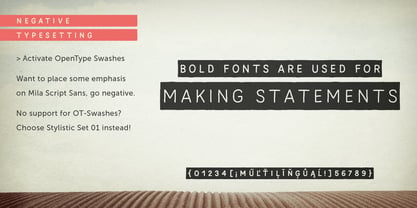 Mila Script Pro Font Poster 32