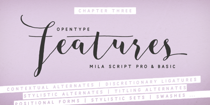 Mila Script Pro Font Poster 19