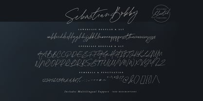 Sebastian Bobby Font Poster 8