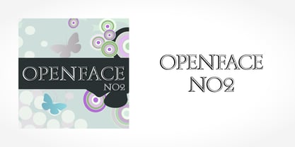 Openface No2 Font Poster 5