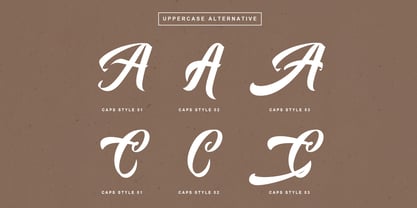 Auntekhno Script Font Poster 9