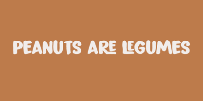 Peanut Crunch Font Poster 1