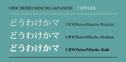 URW Heisei Mincho Font Poster 2