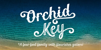 Orchid Key Font Poster 8