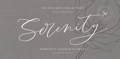Serenity Font Duo Font Poster 11