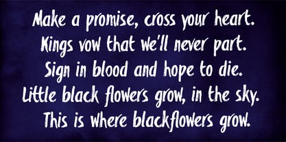 Fleur noire Police Affiche 3