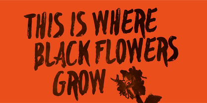 Blackflower Font Poster 4