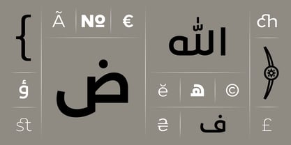 Loew Next Arabic Font Poster 11