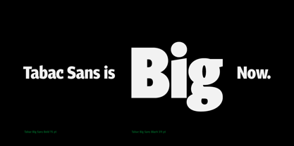 Tabac Big Sans Font Poster 7