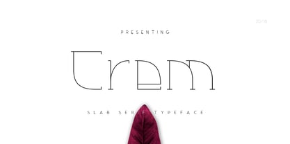 Crem Slab Font Poster 1