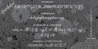 Fantabulous Script Font Poster 5