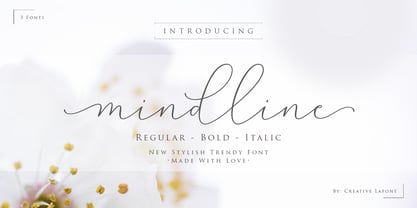Mindline Script Font Poster 11