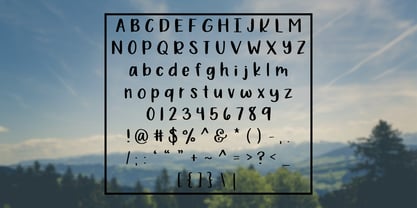 Bewilderment Font Poster 5