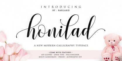 Honilad Script Font Poster 6