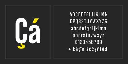 Bebas Neue Pro Font Poster 6