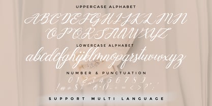 Mottingham Elegant Calligraphy Font Poster 3