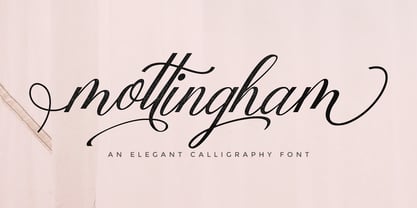 Mottingham Elegant Calligraphy Fuente Póster 8