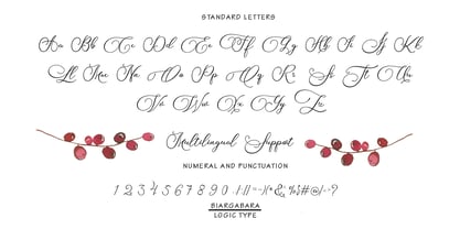 Biargabara Script Font Poster 1