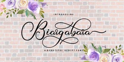 Biargabara Script Font Poster 9