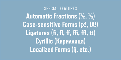 Refrigerator Deluxe Font Poster 5