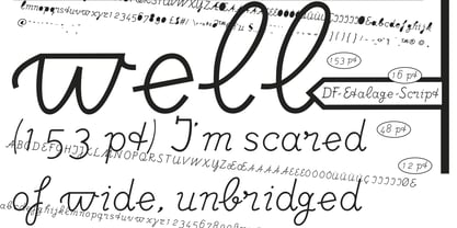 DF Etalage Script Font Poster 1