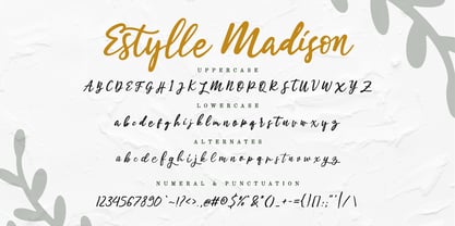 Estylle Madison Font Poster 5