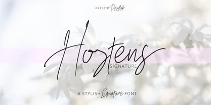 Hostens signature Font Poster 10