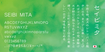 Seibi Mita Font Poster 2