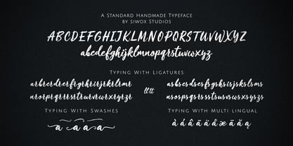 Crushine Brush Font Poster 5