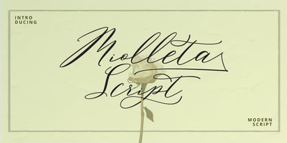Miolleta Script Font Poster 7