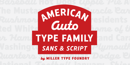 American Auto Font Poster 14