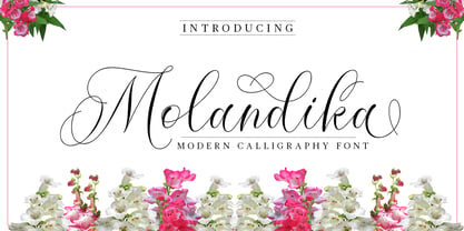 Molandika Script Font Poster 9
