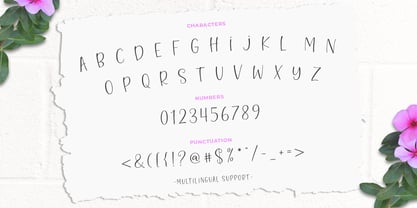 Hello Blushberry Script Font Poster 9