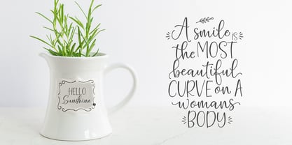 Hello Blushberry Script Font Poster 4
