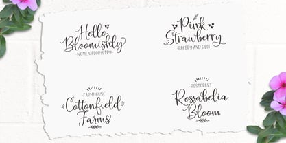 Hello Blushberry Script Font Poster 2
