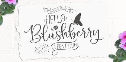 Hello Blushberry Script Fuente Póster 1