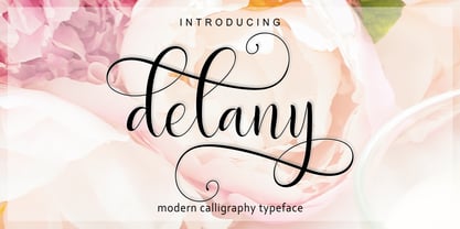 Delany Script Font Poster 8