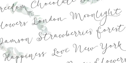Soft Whisperings Calligraphic Font Poster 3