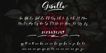 Giselle Font Poster 2