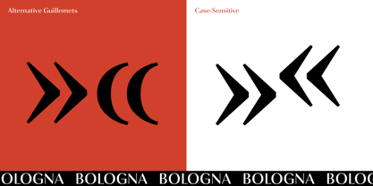 Bologna Font Poster 10