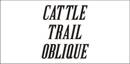 Cattle Trail JNL Fuente Póster 2