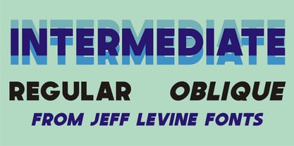 Intermediate JNL Font Poster 5