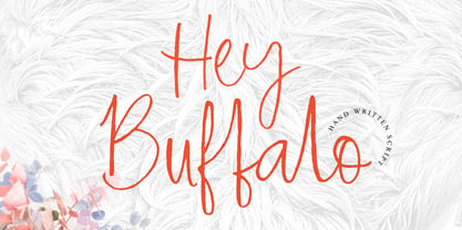 Hey Buffalo Font Poster 5